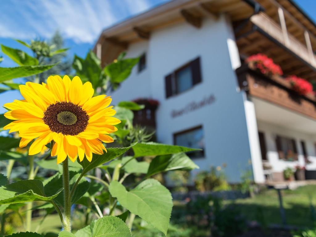 Haus Elisabeth Ξενοδοχείο Nova Ponente Εξωτερικό φωτογραφία